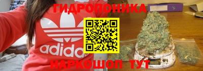 кокаин перу Кингисепп