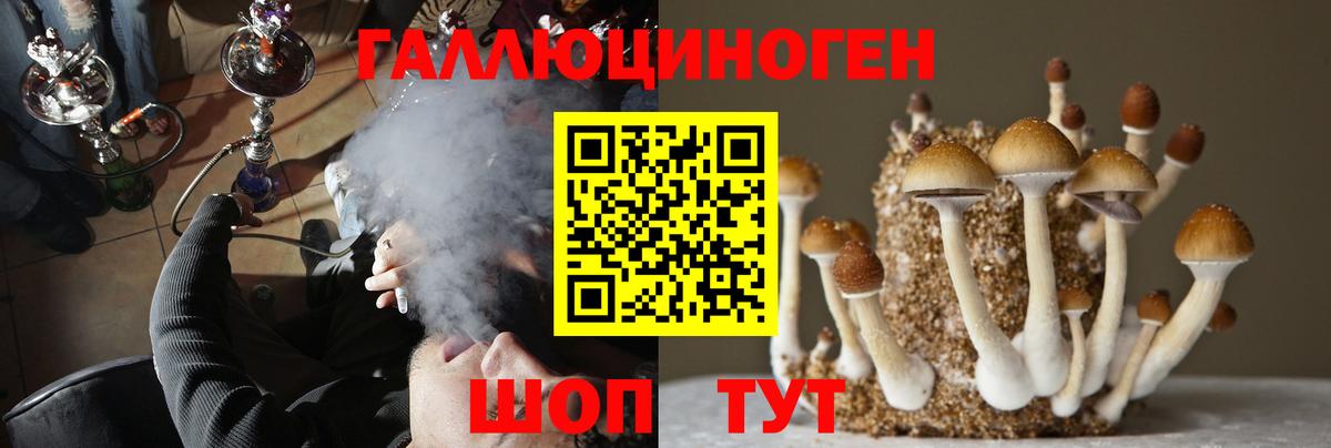 Галлюциногенные грибы GOLDEN TEACHER  Галлюциногенные грибы Psilocybine cubensis  Вход с VPN  Красный Сулин 